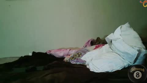 Snapshot of jahweed8 chatting on 02.08.26 Jahweed online show from 02.08.26