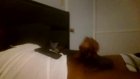 Jamacian online show from 12.16.24