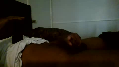 Jamacian online show from 01.02.25