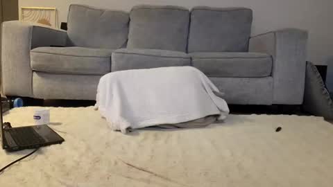 Snapshot of jamesjackin85 chatting on 12.16.24 jamesjackin85 online show from 12.16.24