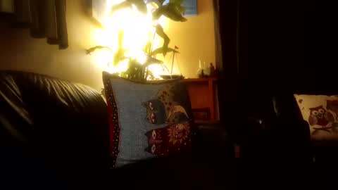 Snapshot of jamesloveridge901 chatting on 10.25.25 jamesloveridge901 online show from 10.25.25