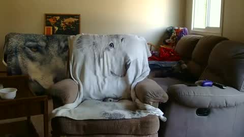 Snapshot of jameswolf777 chatting on 09.09.25 jameswolf777 online show from 09.09.25