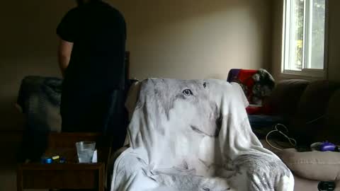 Snapshot of jameswolf777 chatting on 09.27.25 jameswolf777 online show from 09.27.25