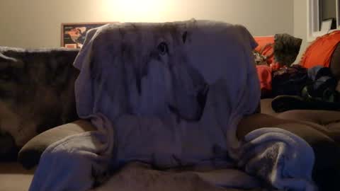 Snapshot of jameswolf777 chatting on 12.16.25 jameswolf777 online show from 12.16.25