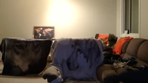 Snapshot of jameswolf777 chatting on 12.22.25 jameswolf777 online show from 12.22.25