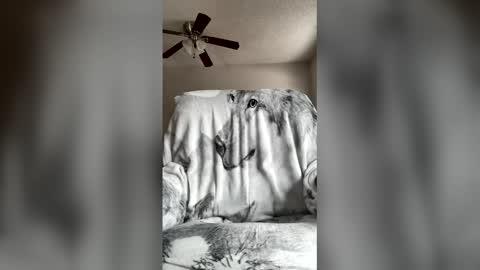 Snapshot of jameswolf777 chatting on 04.07.26 jameswolf777 online show from 04.07.26