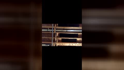 Snapshot of jamie19905 chatting on 03.04.26 jamie19905 online show from 03.04.26