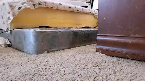 Snapshot of jamwarnerone chatting on 09.09.25 Bootyshows online show from 09.09.25