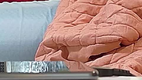 Snapshot of jamwarnerone chatting on 09.15.25 Bootyshows online show from 09.15.25