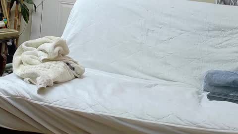 Snapshot of jamwarnerone chatting on 09.17.25 Bootyshows online show from 09.17.25