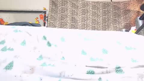 Snapshot of jamwarnerone chatting on 10.23.25 Bootyshows online show from 10.23.25