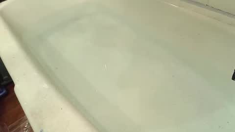 Snapshot of jamwarnerone chatting on 10.29.25 Bootyshows online show from 10.29.25