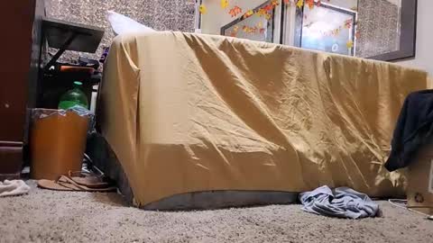 Snapshot of jamwarnerone chatting on 12.02.25 Bootyshows online show from 12.02.25