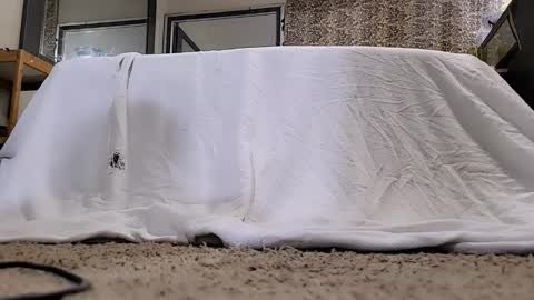 Bootyshows online show from 03.12.26