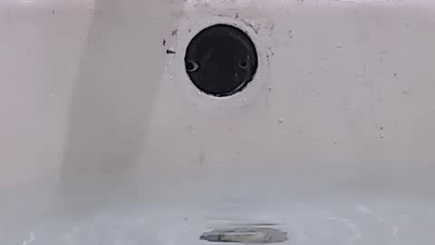 Bootyshows online show from 03.15.26