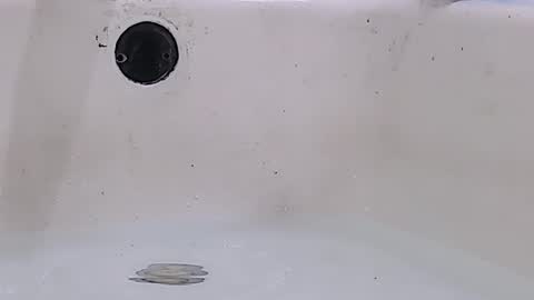 Bootyshows online show from 03.16.26