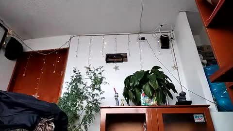 Snapshot of janariivera1 chatting on 02.11.26 janariivera1 online show from 02.11.26