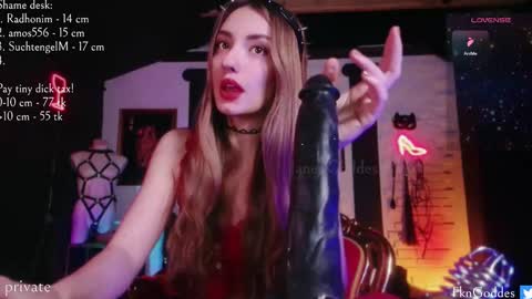 Snapshot of jane_goddes chatting on 02.27.26 Rude and greedy bitch Professor of Micropenisology online show from 02.27.26