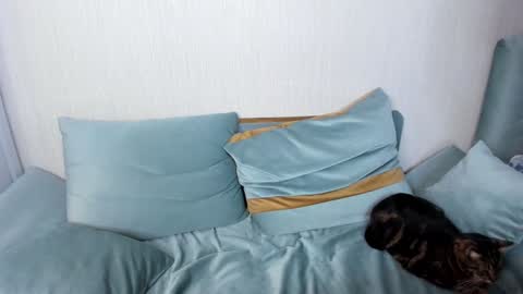 Jane online show from 01.25.25