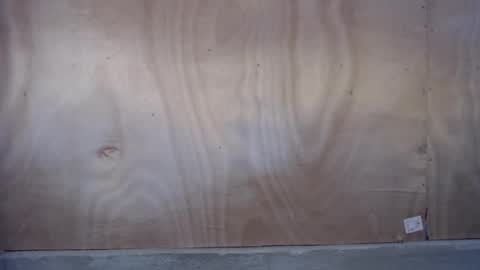 janelovers online show from 10.22.25