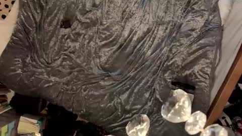 Snapshot of janetrans84 chatting on 01.21.25 janetrans84 online show from 01.21.25