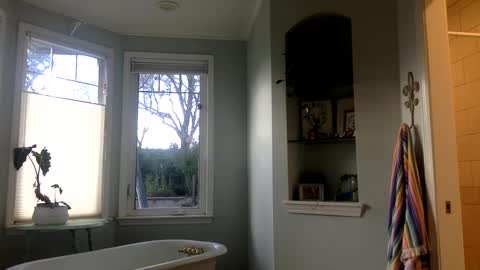 janicepepper online show from 03.02.25