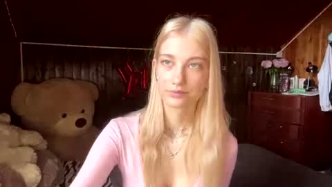 Snapshot of janicesivertsen chatting on 07.11.26 Elsa online show from 07.11.26