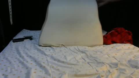 Snapshot of jareboy chatting on 01.23.25 Jare-Hunkynuts online show from 01.23.25