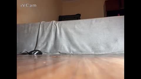 jarrettsss online show from 11.14.25