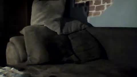 Snapshot of jasio29 chatting on 02.22.25 Jan88 online show from 02.22.25