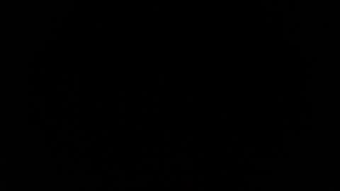 Snapshot of jasmine_star12 chatting on 01.12.26 jasmine_star12 online show from 01.12.26