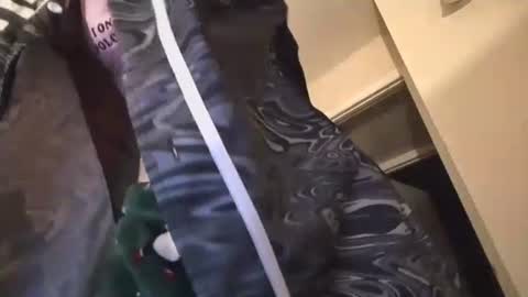 Snapshot of jasper1thewhor3 chatting on 10.25.25 jasper1thewhor3 online show from 10.25.25