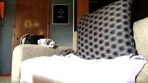 Snapshot of jawssharkparty chatting on 09.10.25 Jaws  online show from 09.10.25