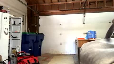 Snapshot of jawssharkparty chatting on 09.12.25 Jaws  online show from 09.12.25