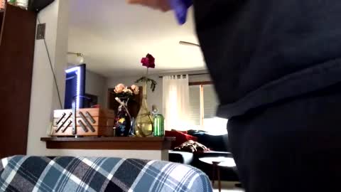 Jaws  online show from 03.04.26