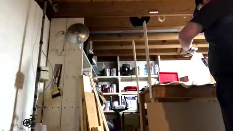 Jaws  online show from 03.17.26