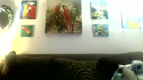 jay-jay1475 online show from 01.20.25