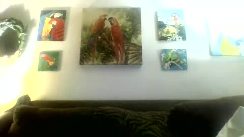 jay-jay1475 online show from 01.21.25