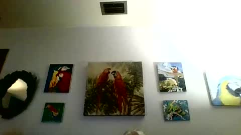 jay-jay1475 online show from 01.31.25