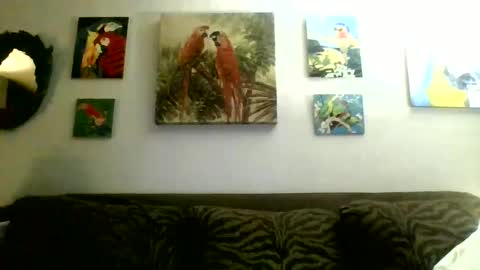 jay-jay1475 online show from 02.17.25