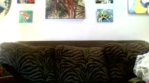 jay-jay1475 online show from 03.08.25