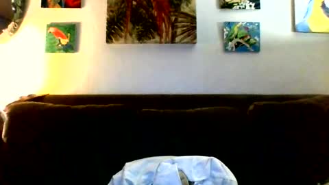 jay-jay1475 online show from 07.23.26
