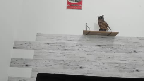 Jaycreedd online show from 02.18.25