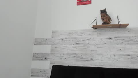 Jaycreedd online show from 09.22.25