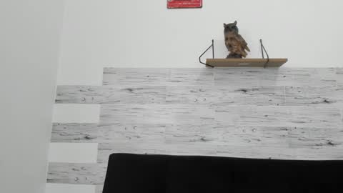 Jaycreedd online show from 09.30.25