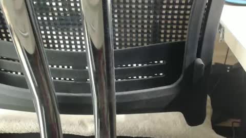 jc200000 online show from 02.17.25