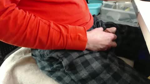 jc200000 online show from 12.17.25