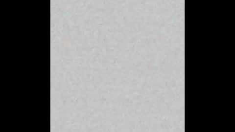 JcMax305 online show from 02.19.26