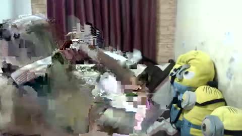 Snapshot of jdan81 chatting on 09.28.25 GorgeousCASSIE online show from 09.28.25