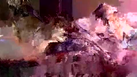 jedpiazza163893 online show from 05.05.26